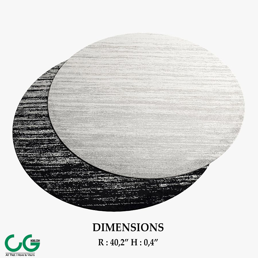 ALLMODERN Rugs_277